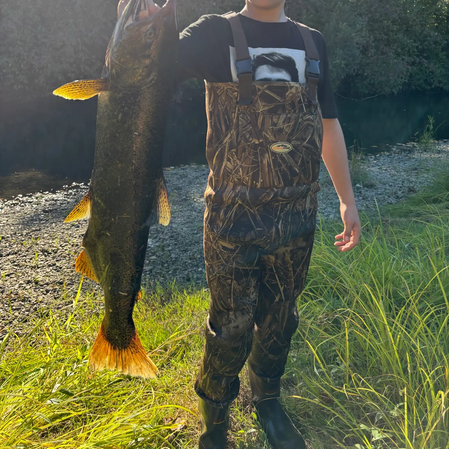 Chinook salmon caught on Fishbrain