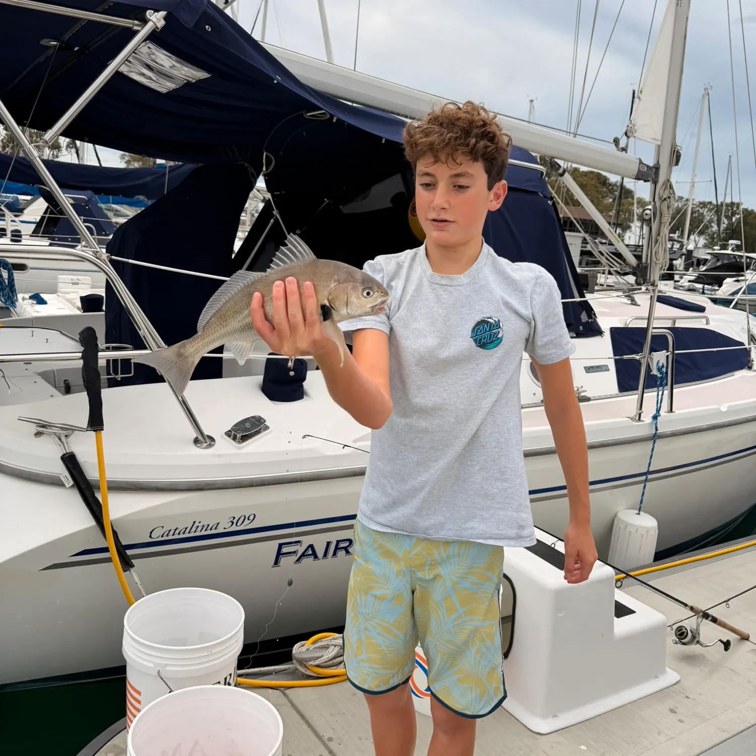 Spotfin croaker caught on Fishbrain