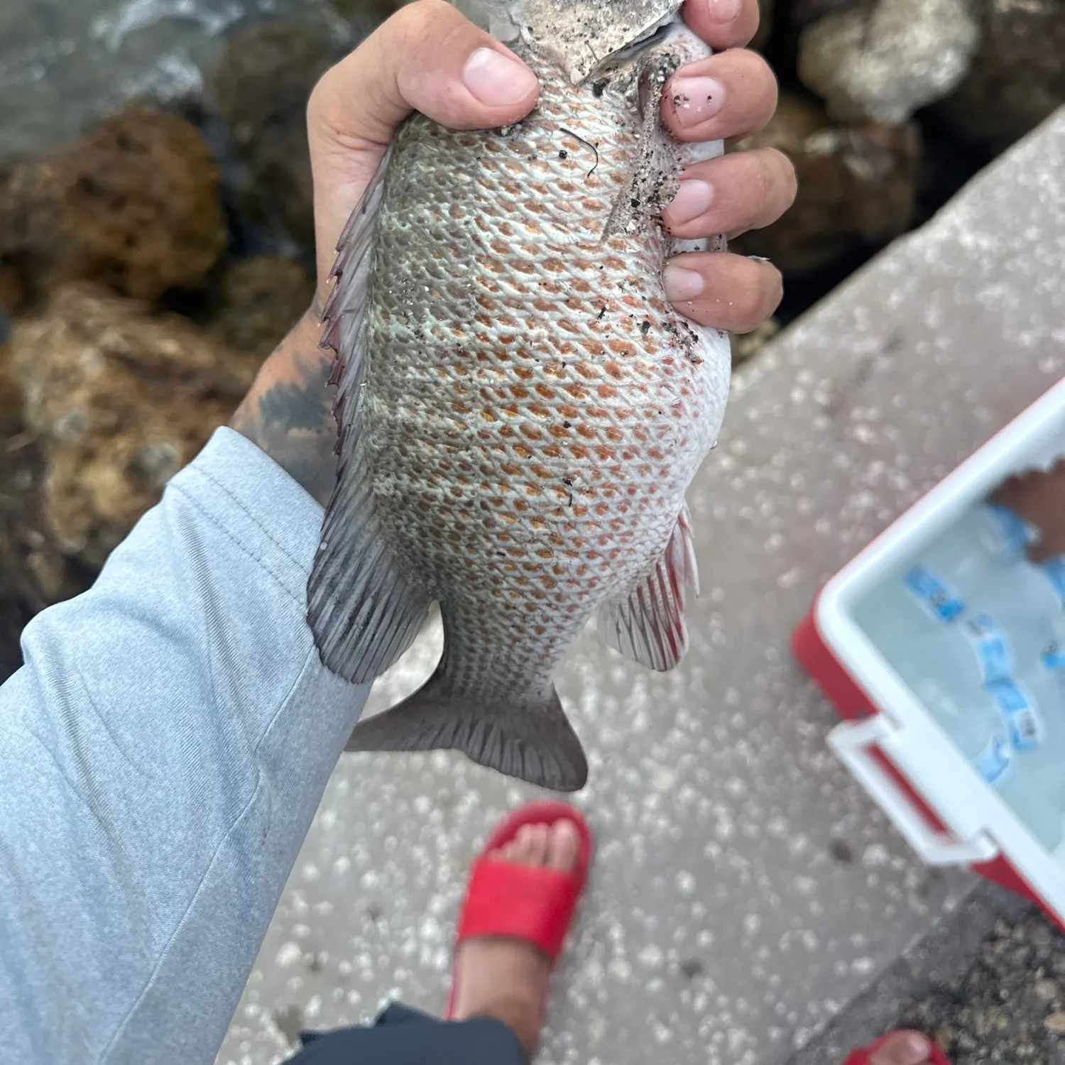 catch