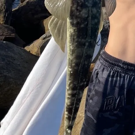 Dusky flathead caught on Fishbrain