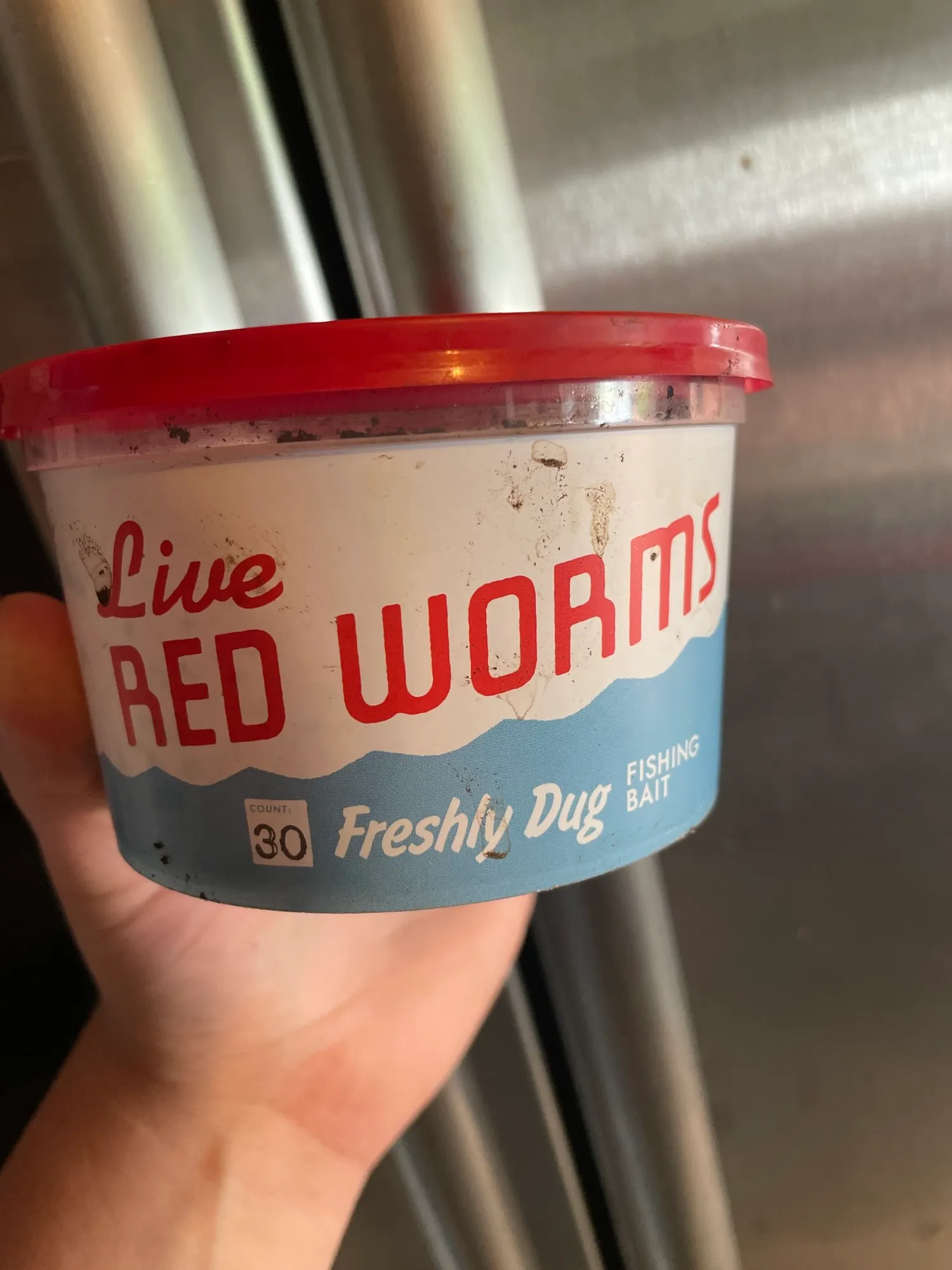 Live Red Worms