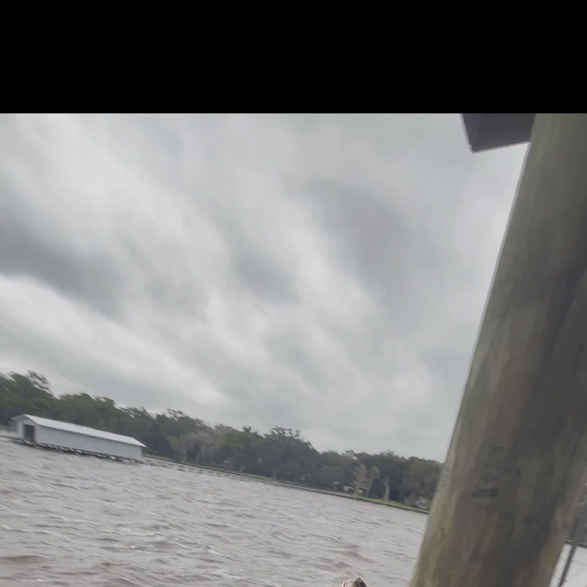 Channel catfish caught on Fishbrain