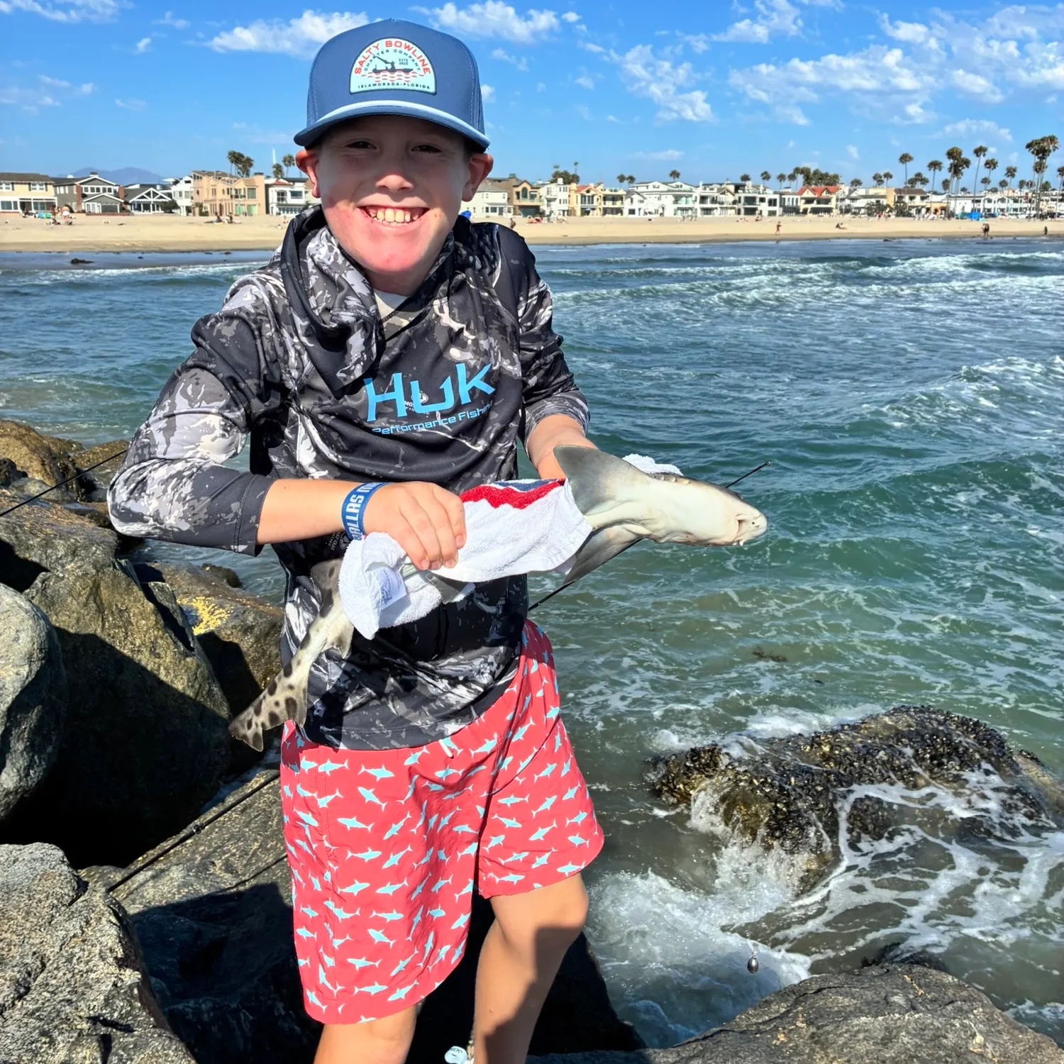 The most recent Zebra shark catches on Fishbrain