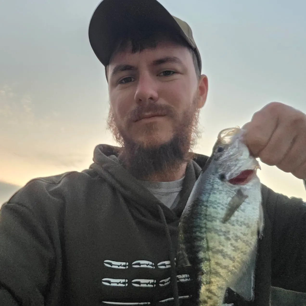 White crappie caught on Fishbrain