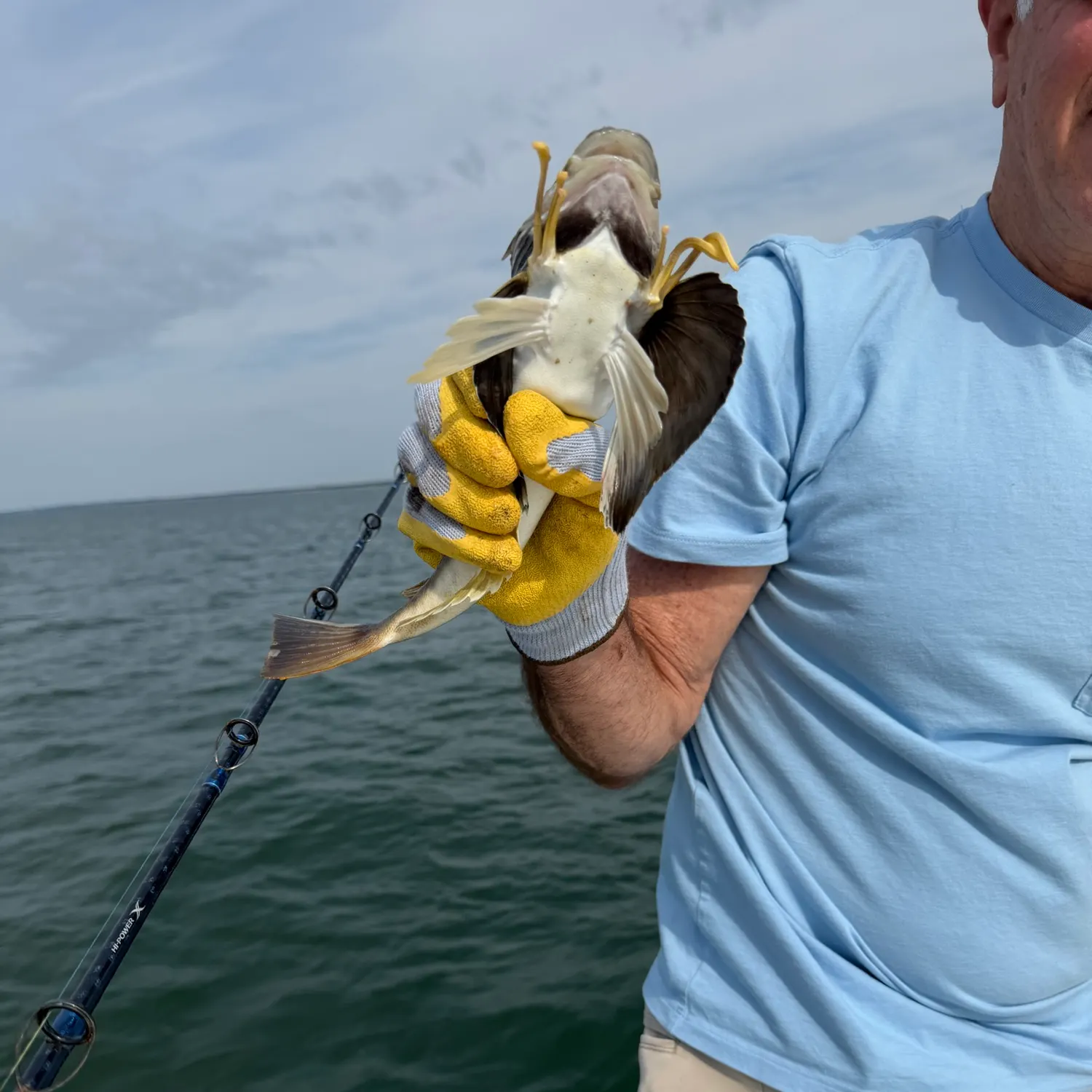 The most recent Lumptail searobin catches on Fishbrain