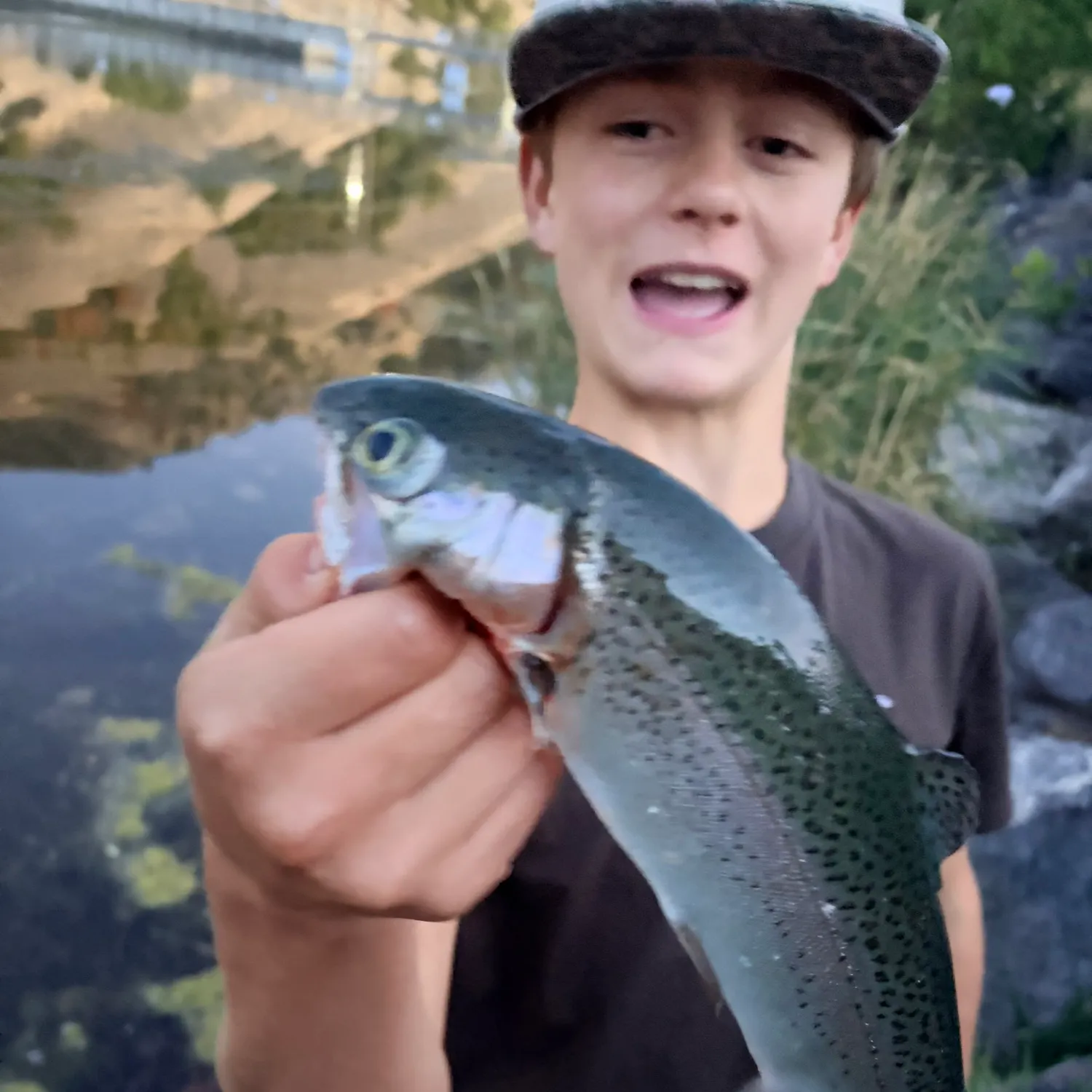 The most recent Thorny seahorse catches on Fishbrain