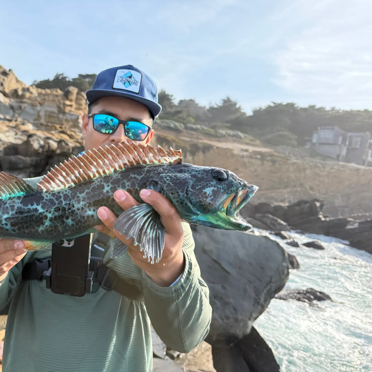 The most recent Lingcod catches on Fishbrain