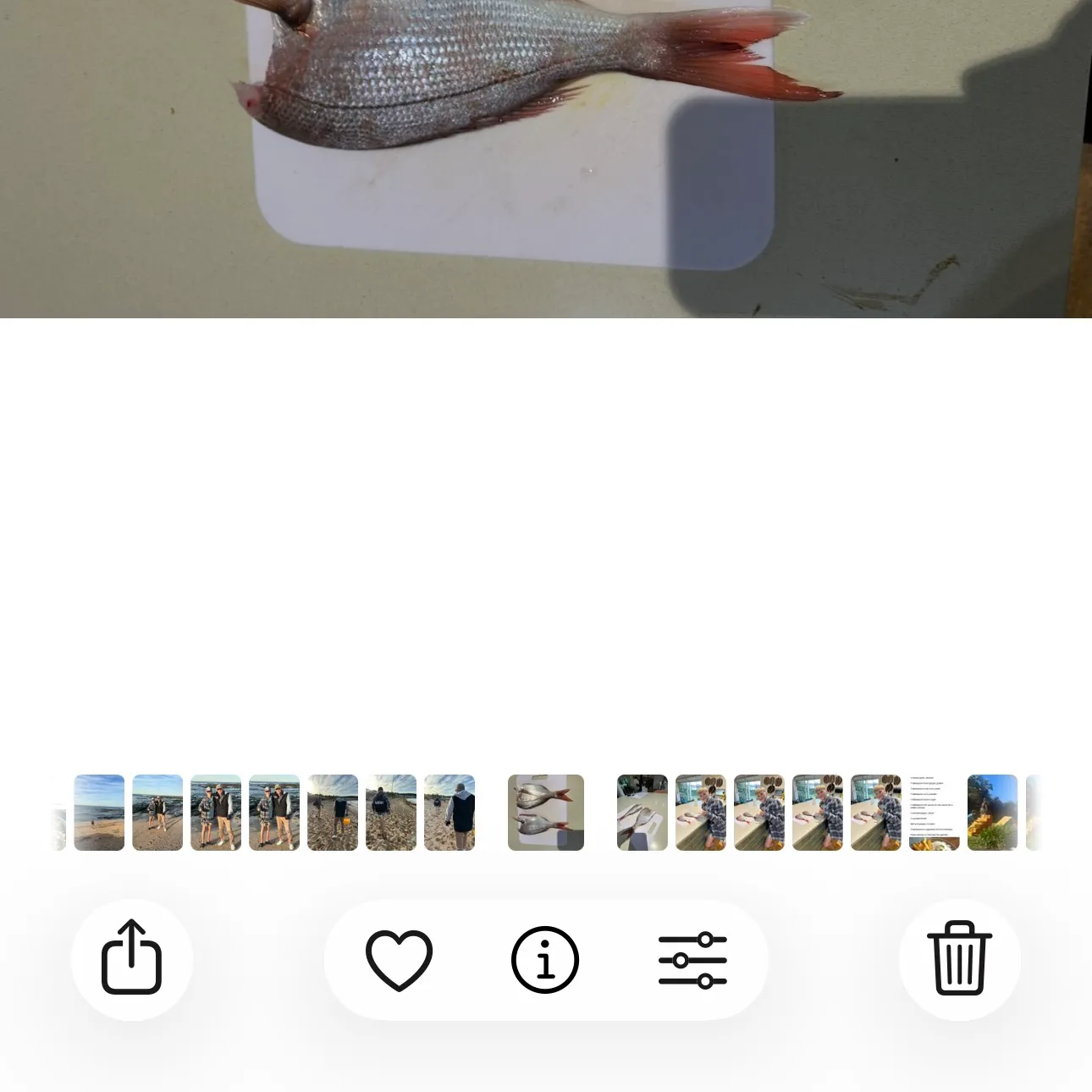 recently logged catches