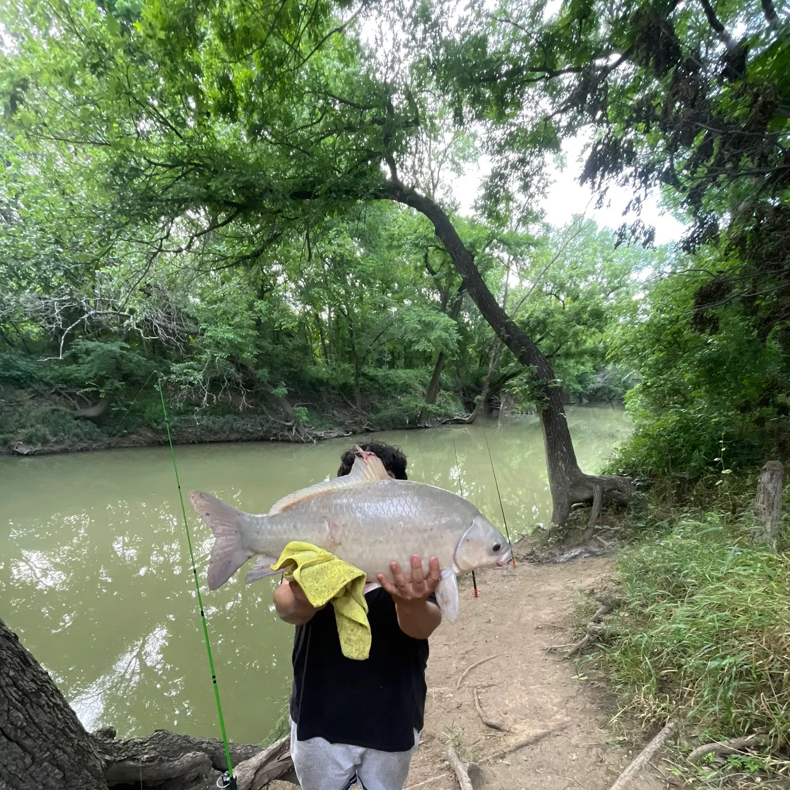 The most recent Smallmouth buffalo catches on Fishbrain