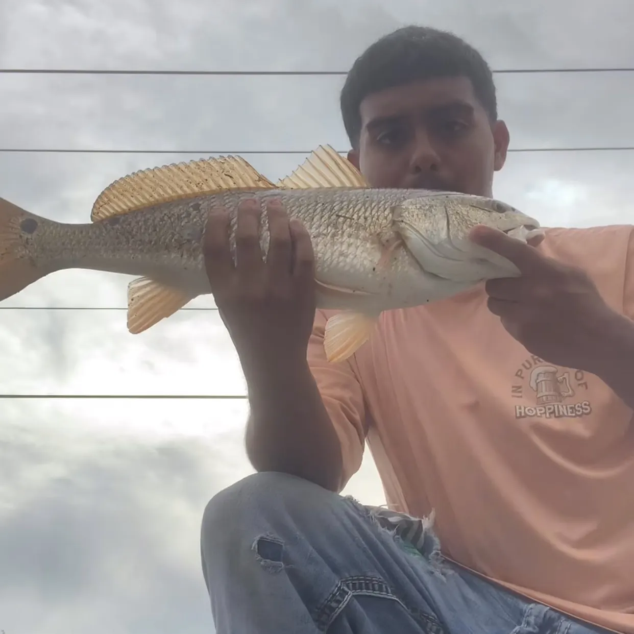 Red drum caught on Fishbrain