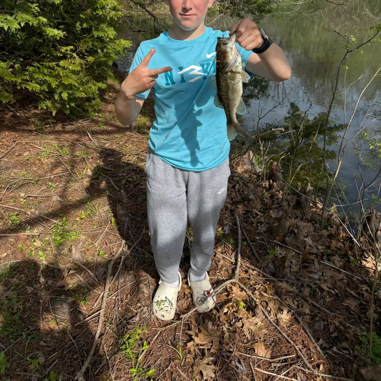 The most recent Meanmouth bass catches on Fishbrain