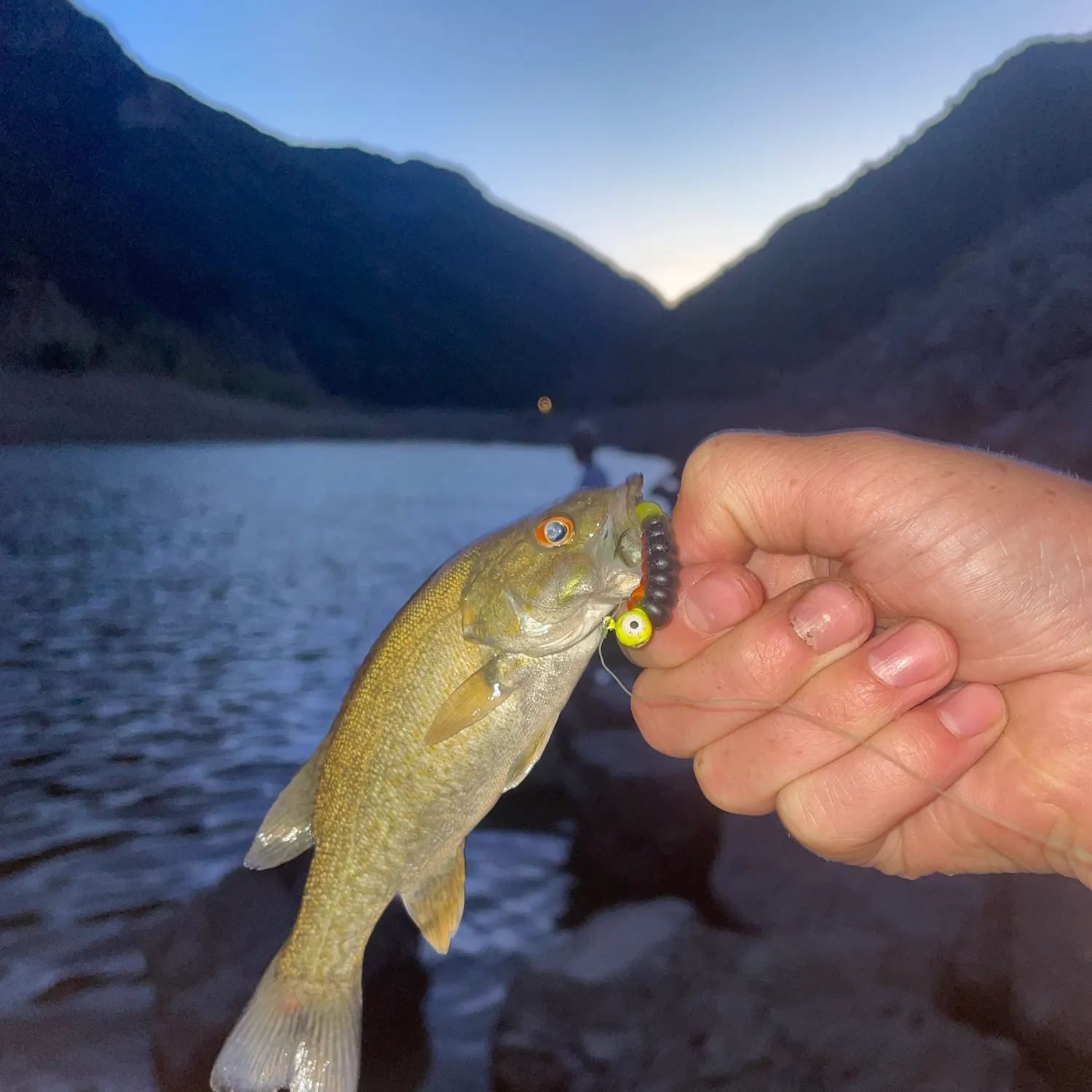 Smallmouth bass caught on Fishbrain