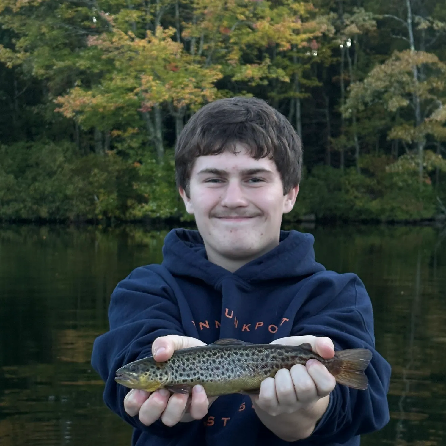 Brown trout caught on Fishbrain