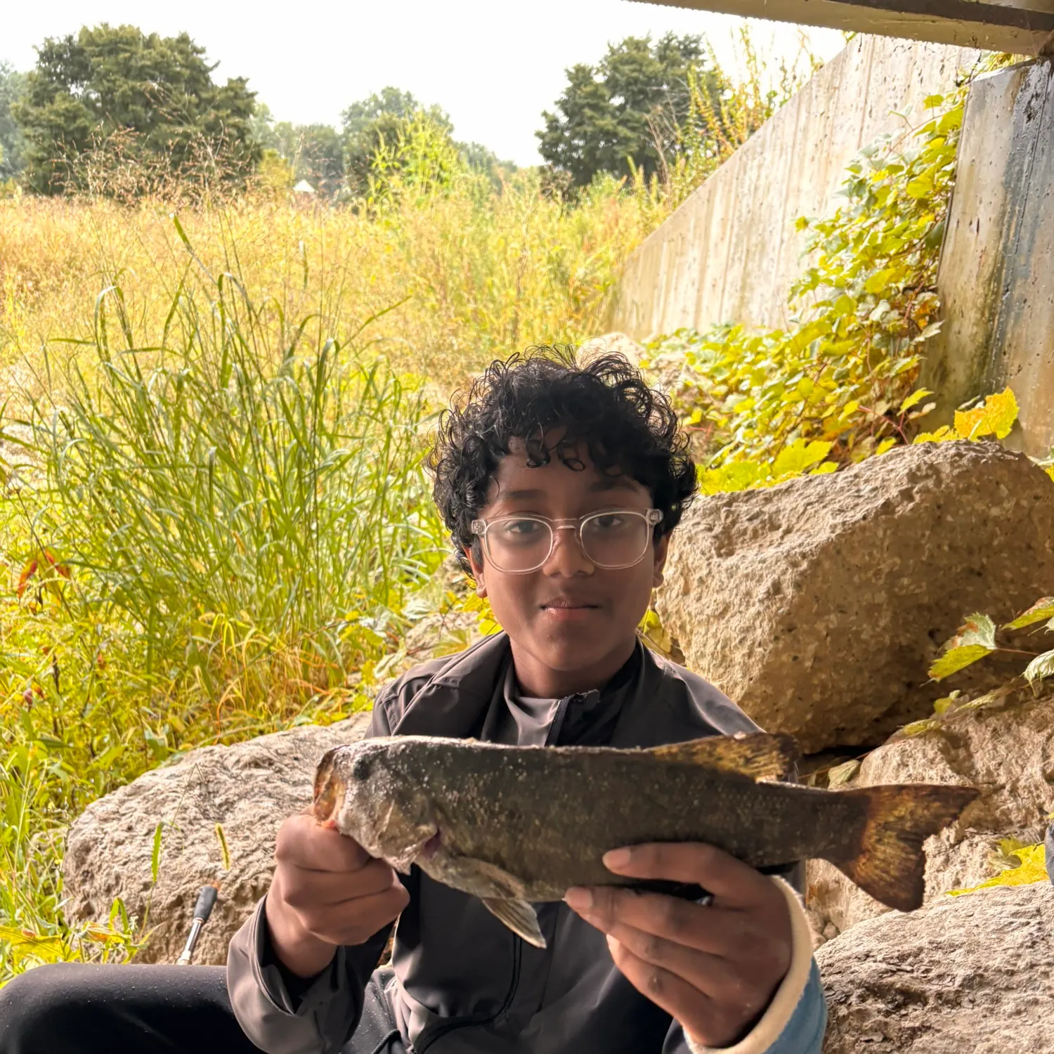 Smallmouth bass caught on Fishbrain