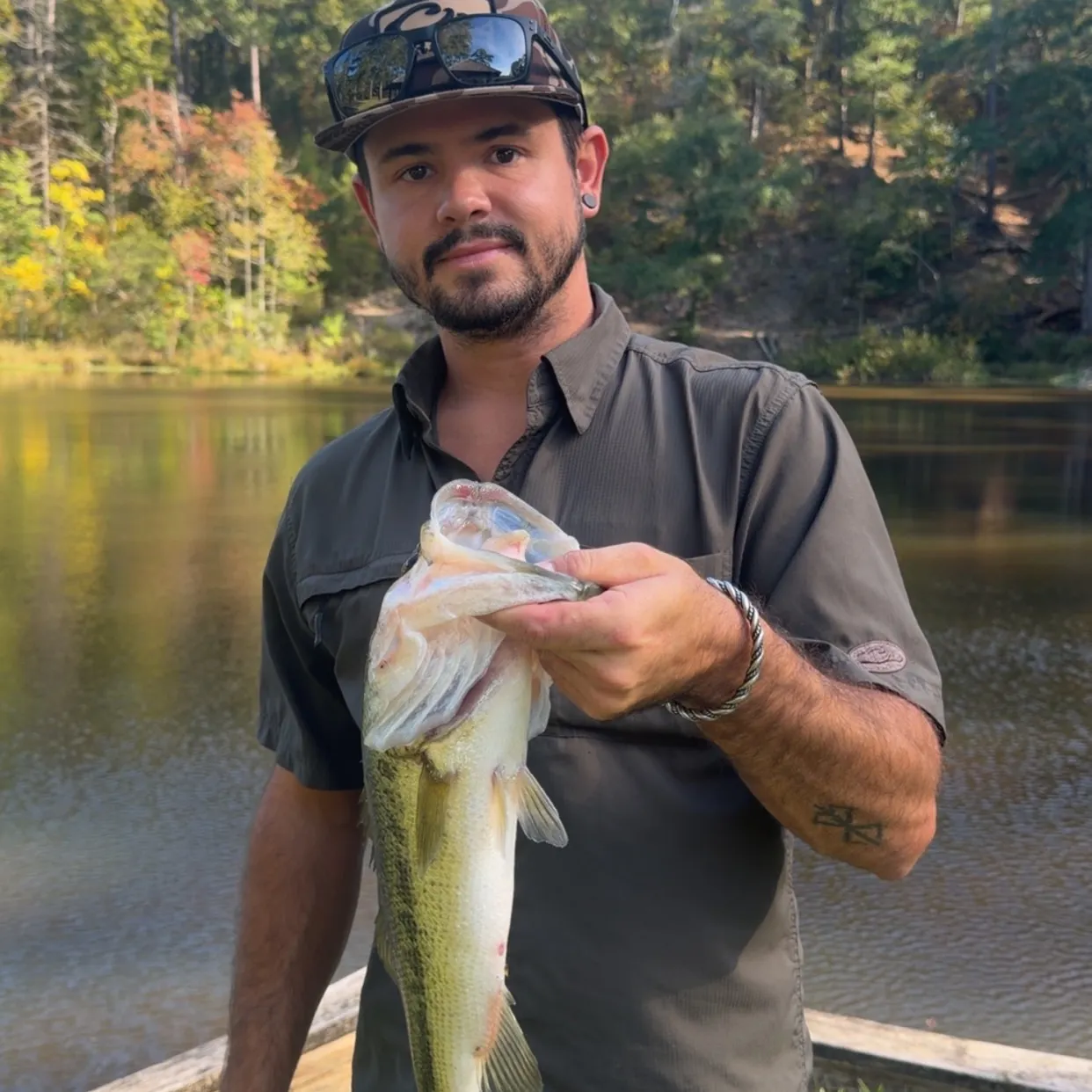 Largemouth bass caught on Fishbrain