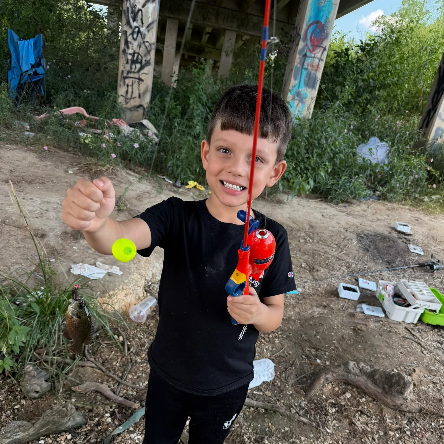 Bluegill caught on Fishbrain