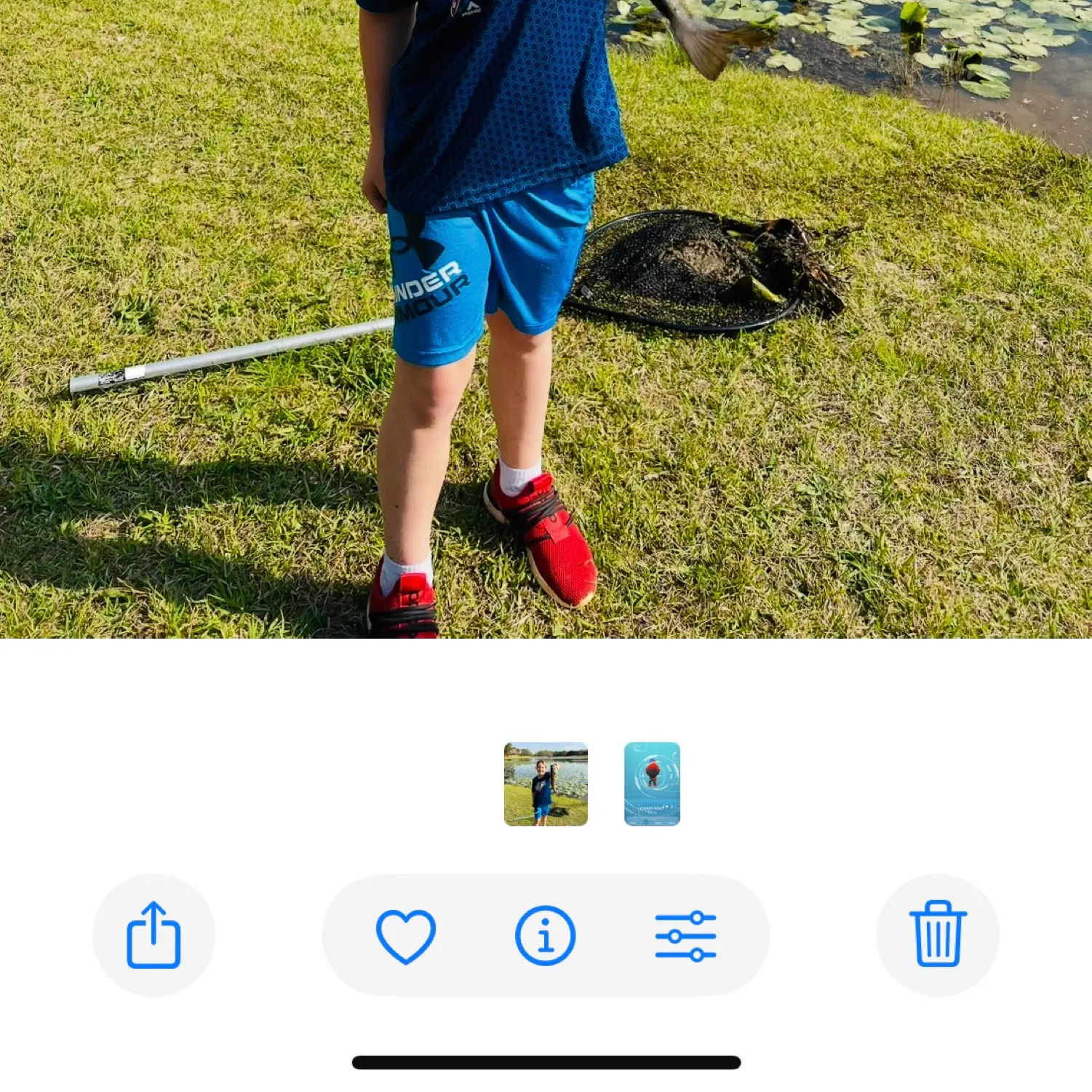 recently logged catches