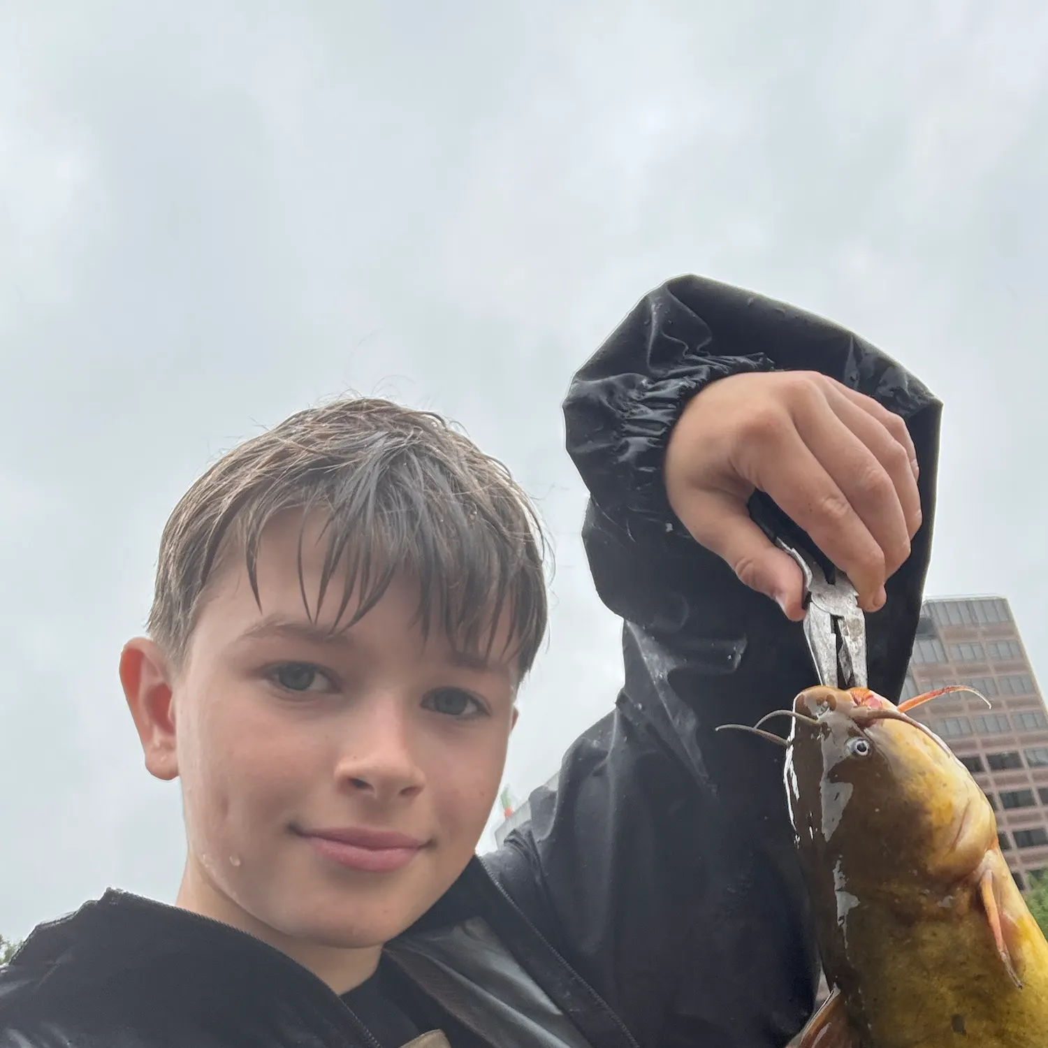 Yellow bullhead caught on Fishbrain