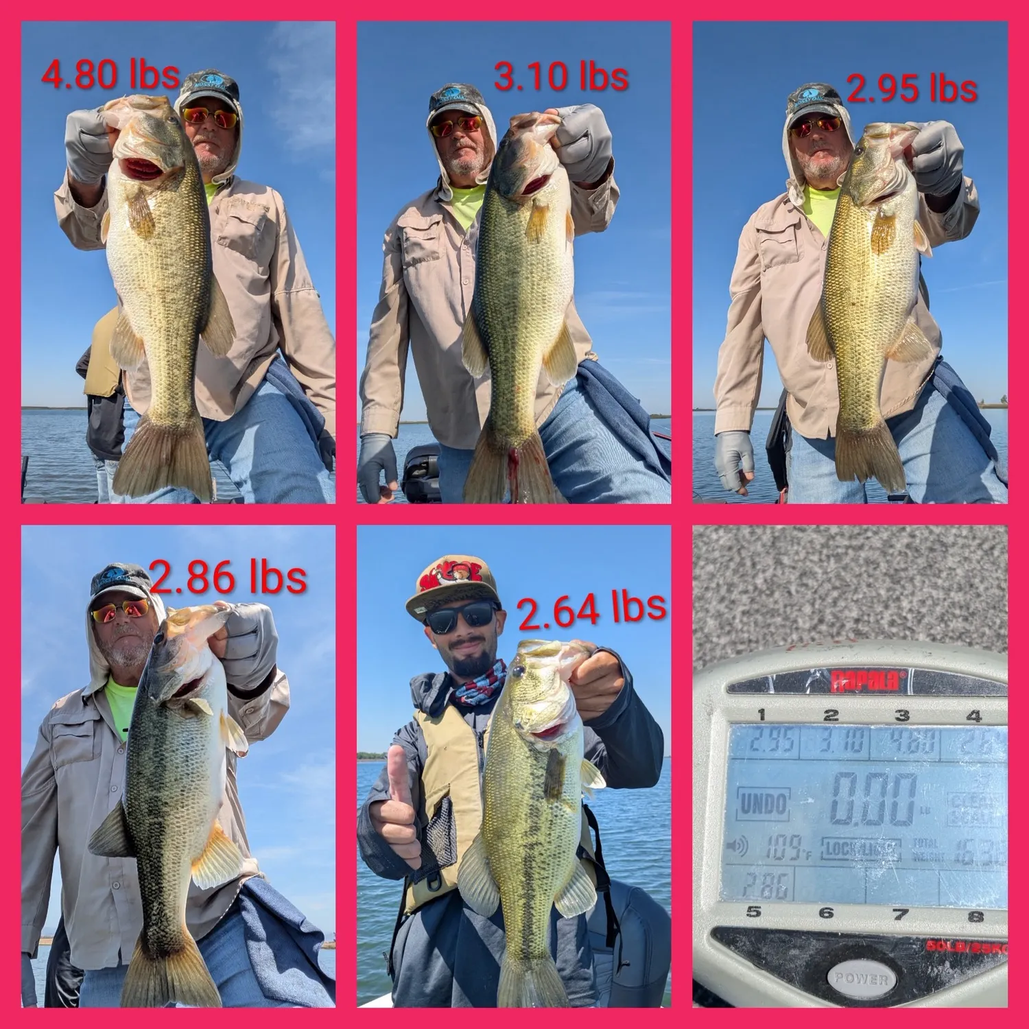 recently logged catches