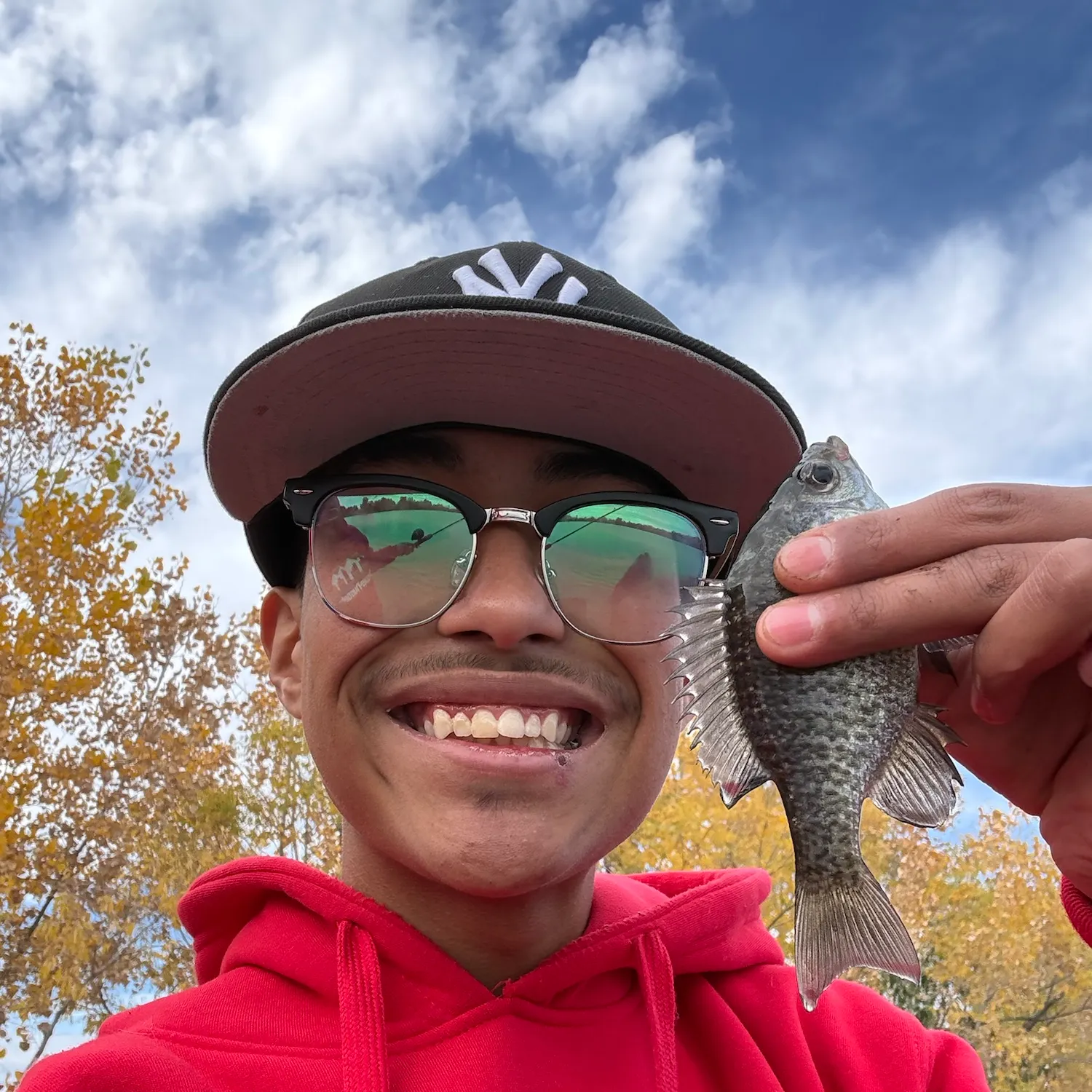 Black crappie caught on Fishbrain