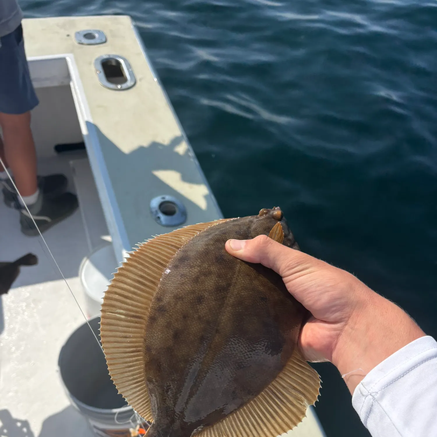 Summer flounder caught on Fishbrain