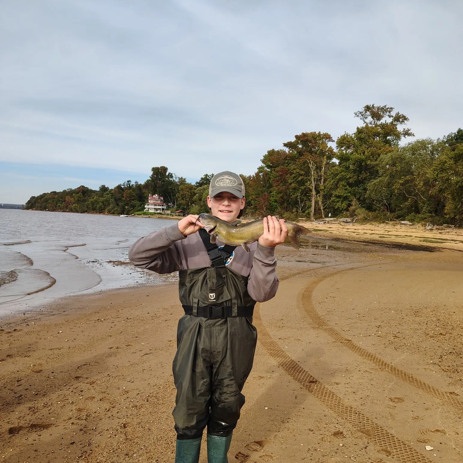 Channel catfish caught on Fishbrain
