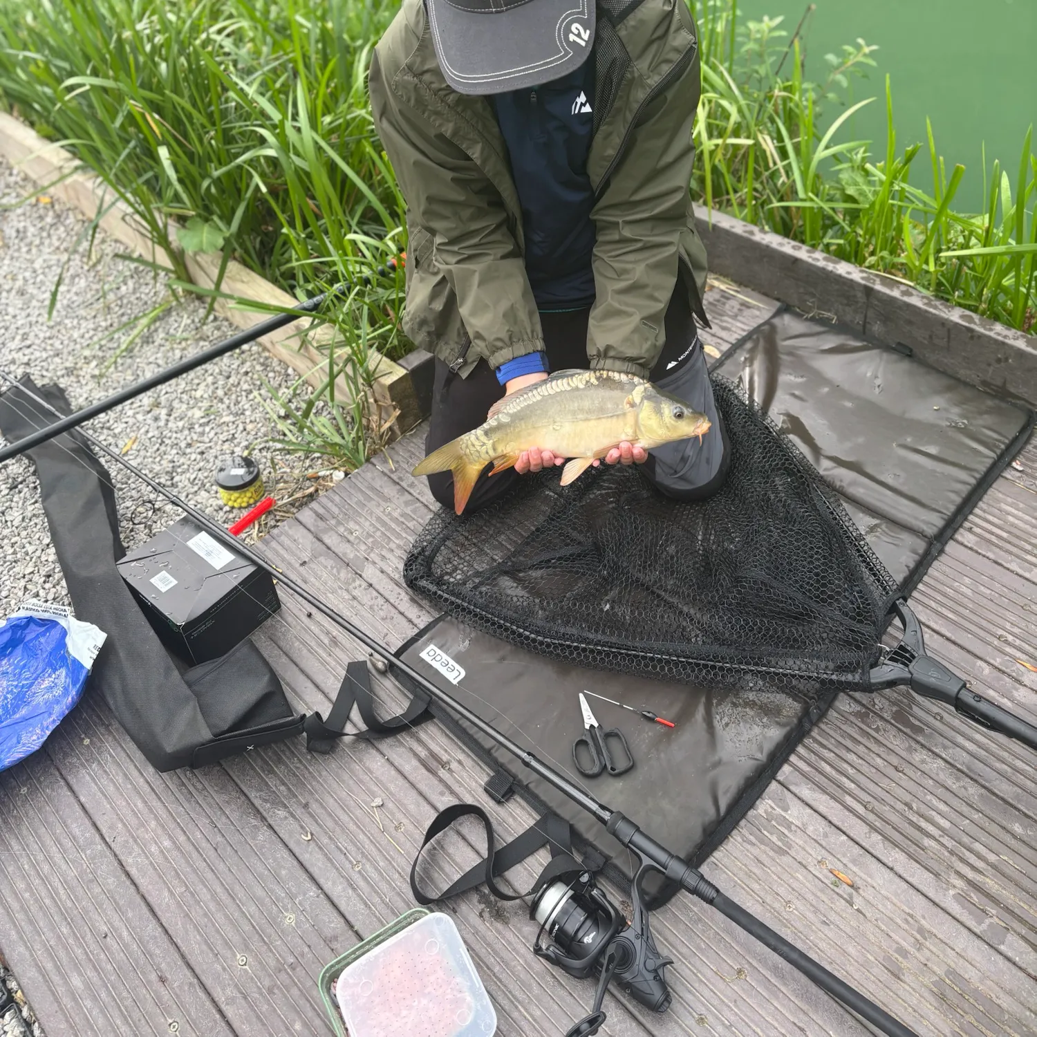 Mirror carp caught on Fishbrain