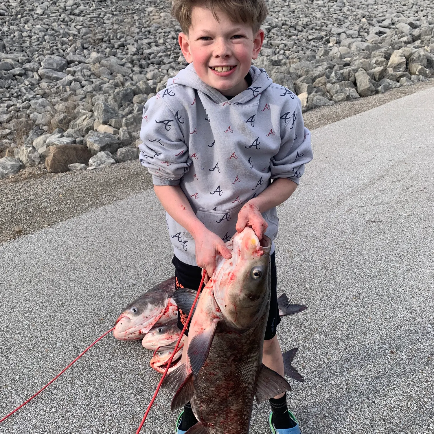 The most recent Bighead carp catches on Fishbrain