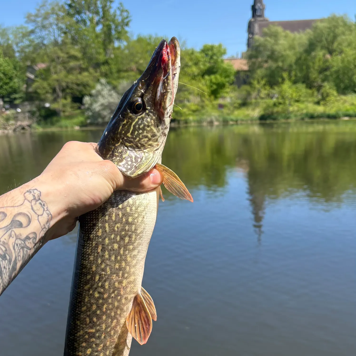 catch
