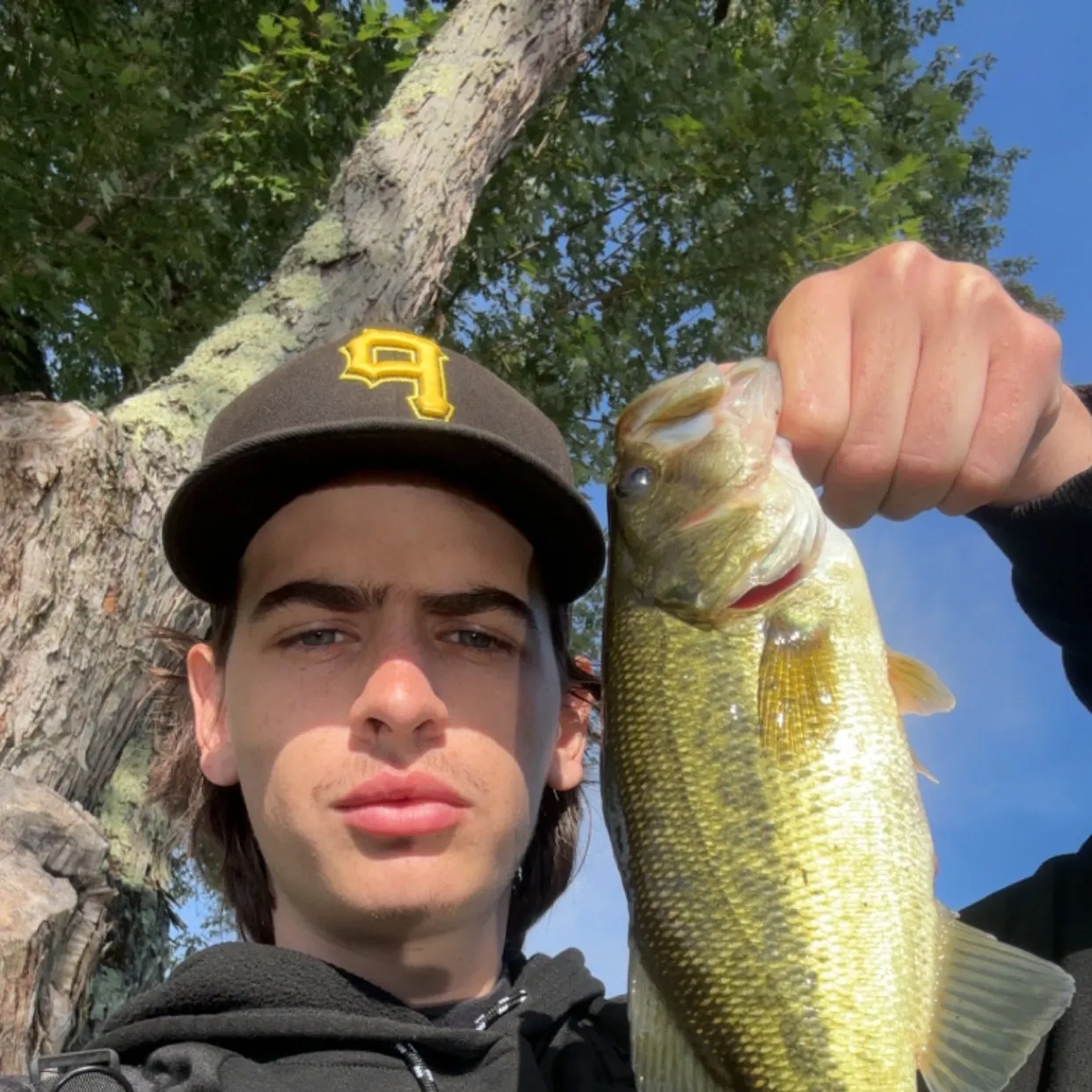 Largemouth bass caught on Fishbrain