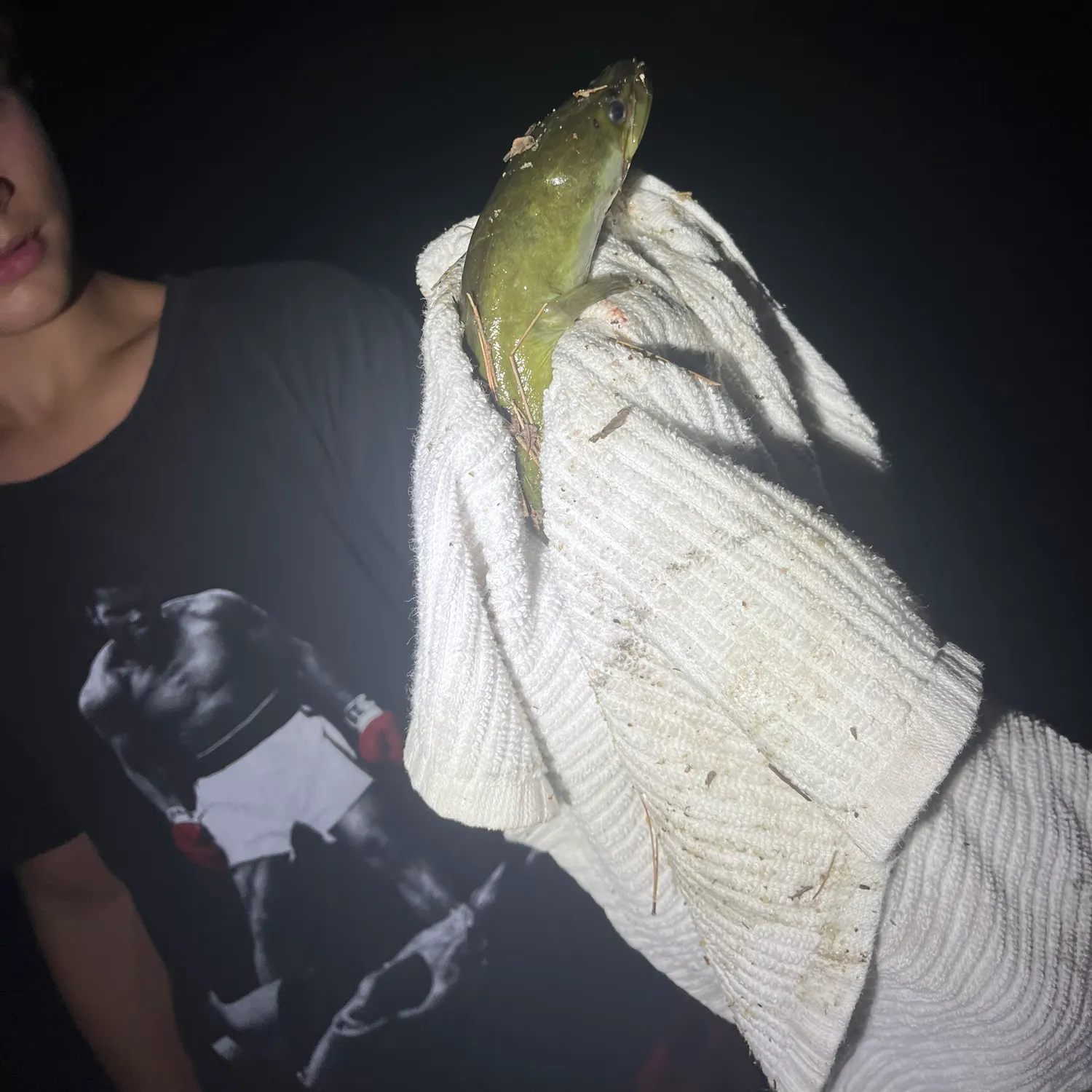catch