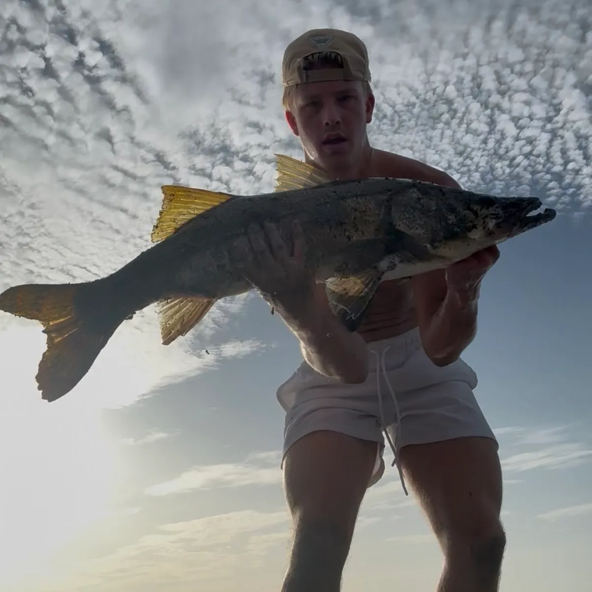 Common snook caught on Fishbrain