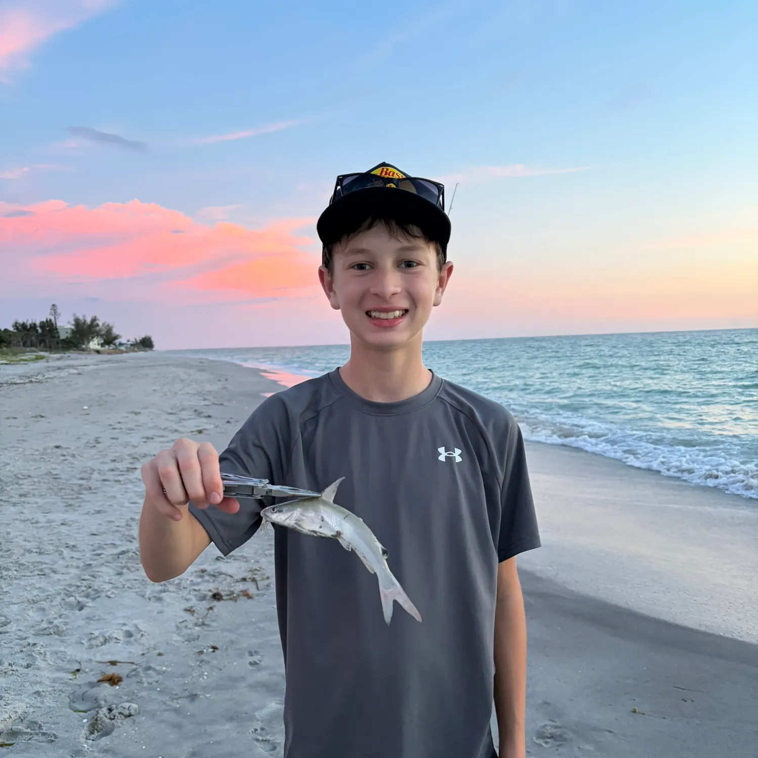 Hardhead sea catfish caught on Fishbrain