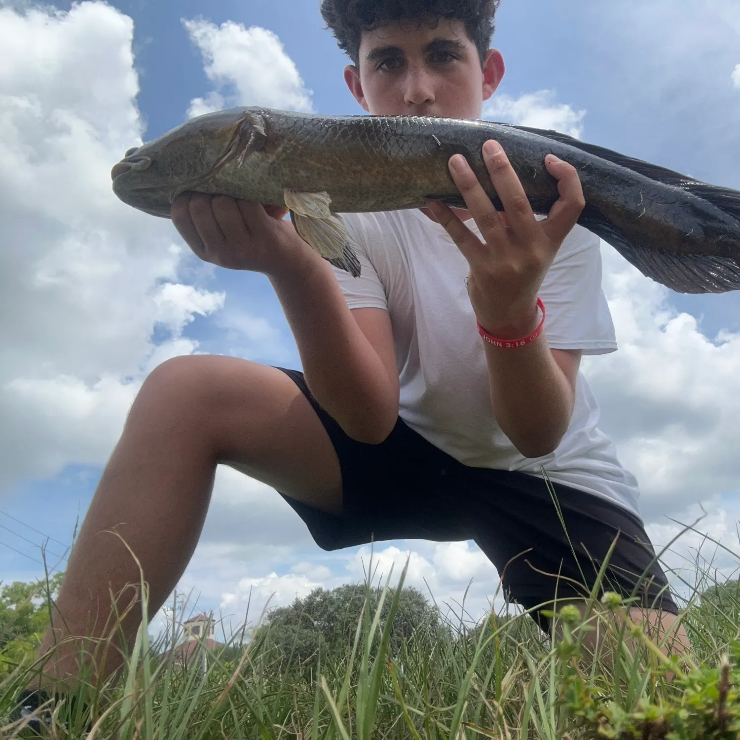 The most recent Bullseye snakehead catches on Fishbrain