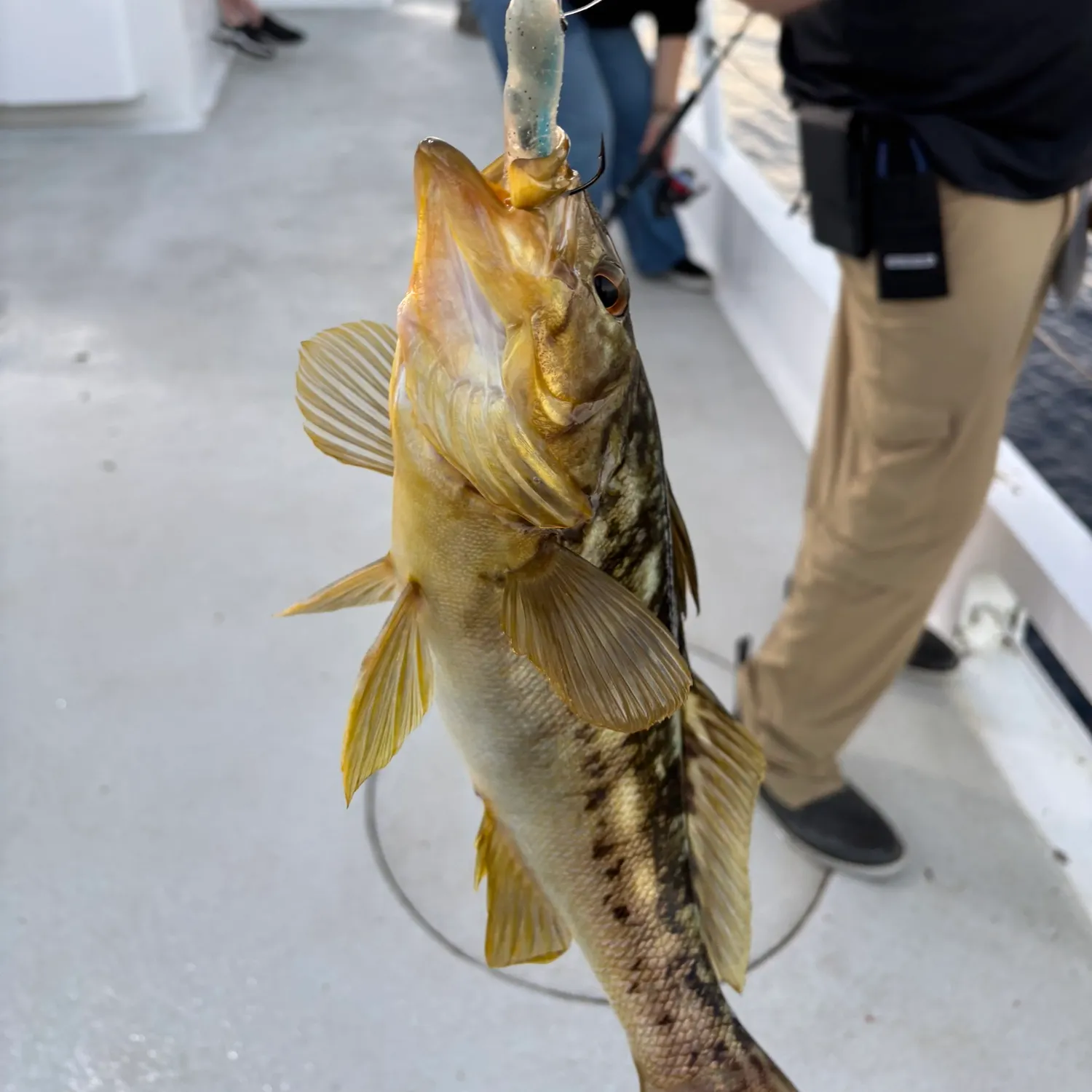 catch