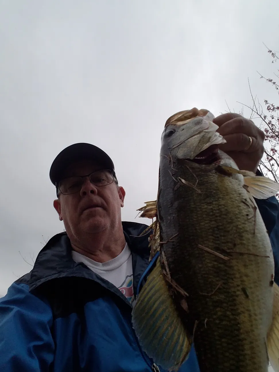 Post image from dduff3323