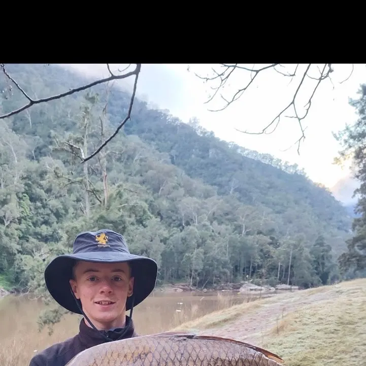 Common carp caught on Fishbrain