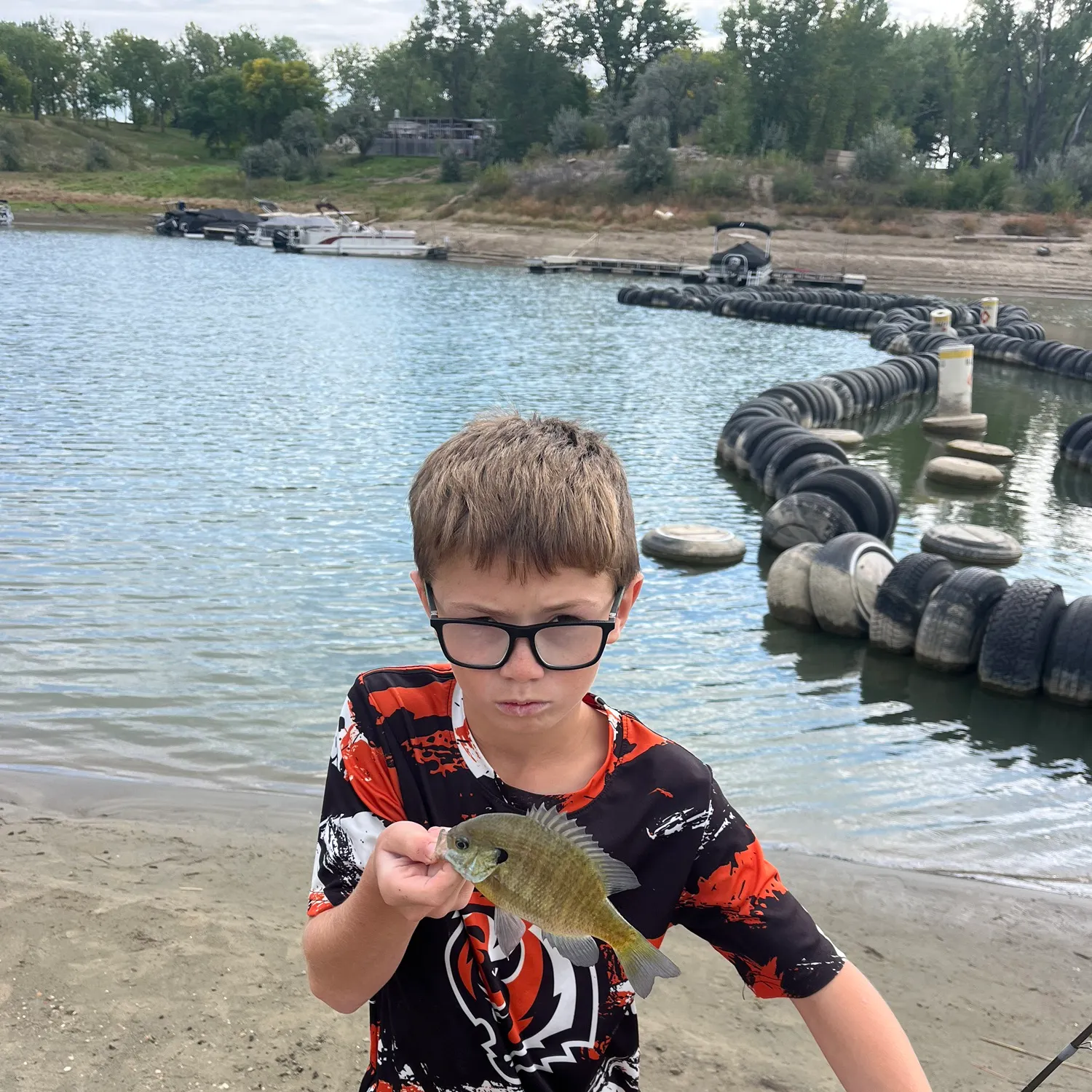 Bluegill caught on Fishbrain