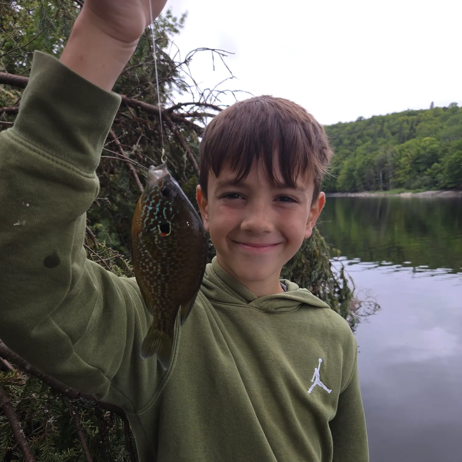 Pumpkinseed caught on Fishbrain
