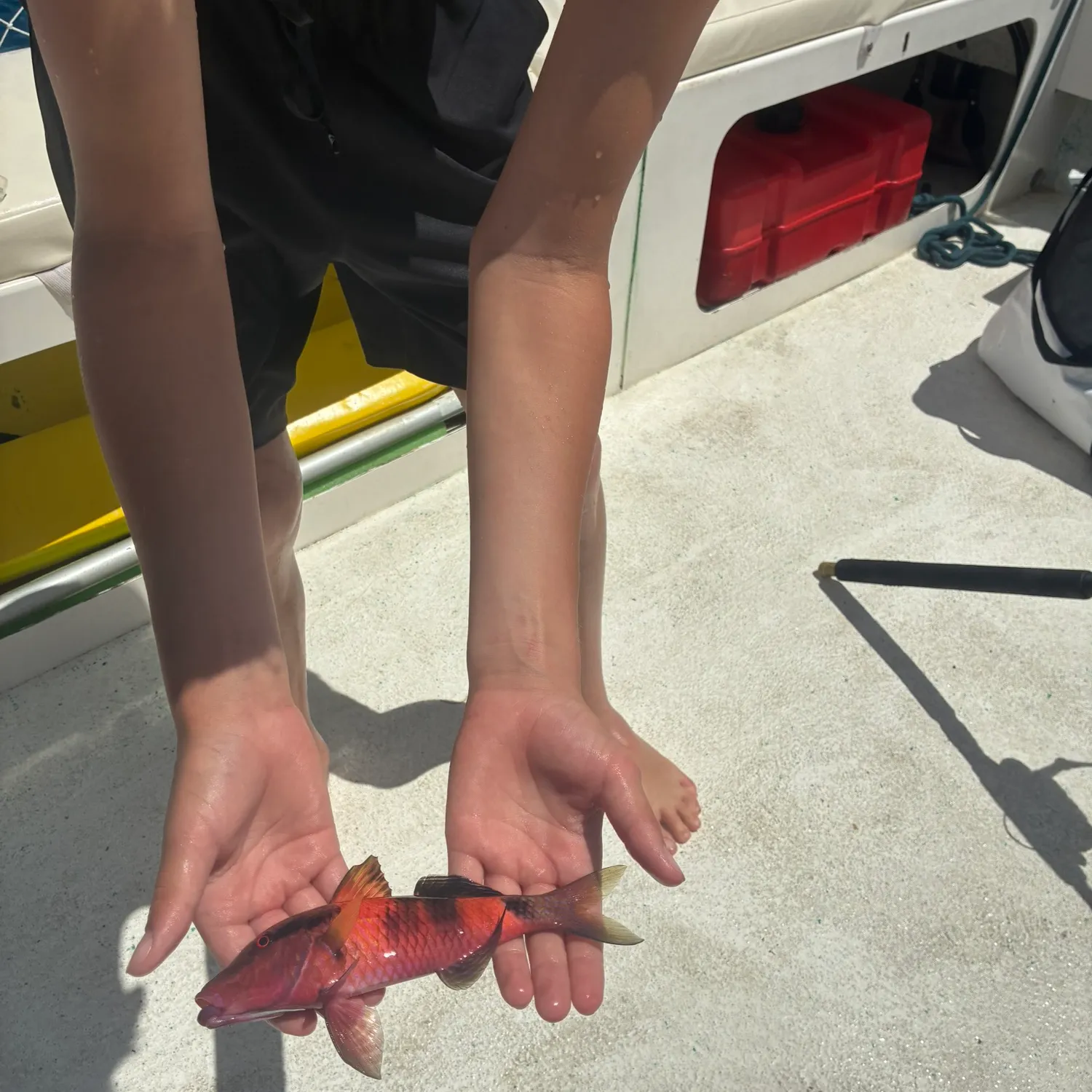 The most recent Manybar goatfish catches on Fishbrain