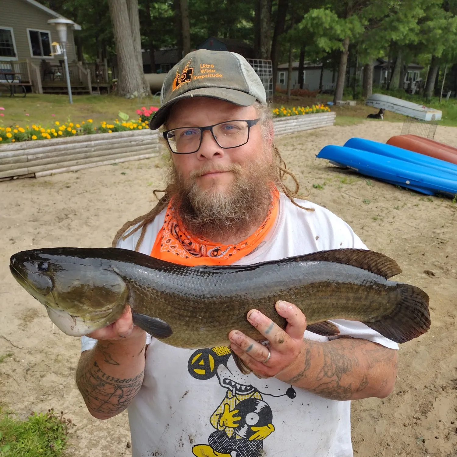 Eyetail bowfin caught on Fishbrain