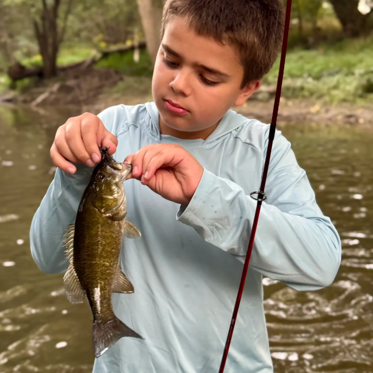 Smallmouth bass caught on Fishbrain