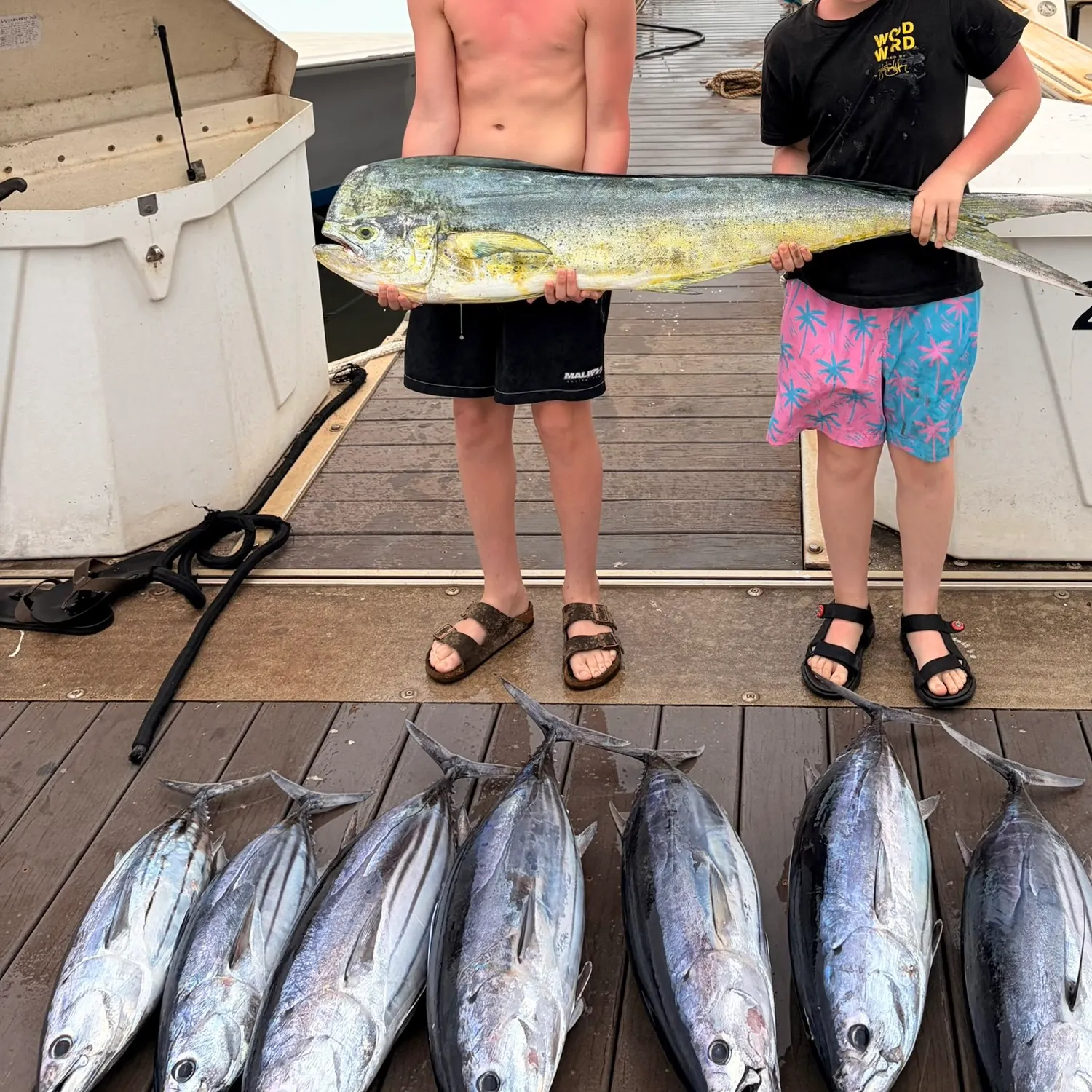 recently logged catches
