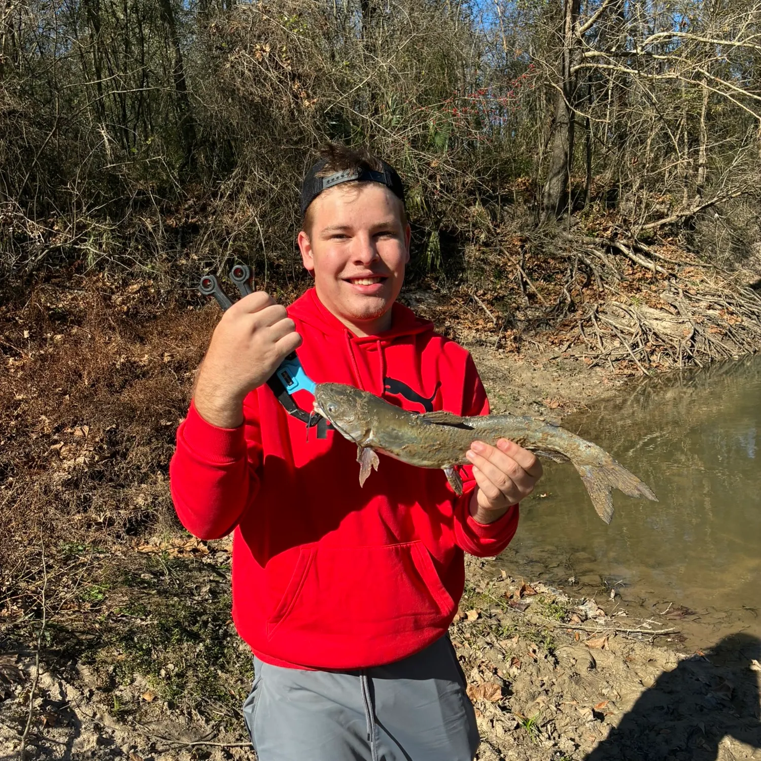 Channel catfish caught on Fishbrain