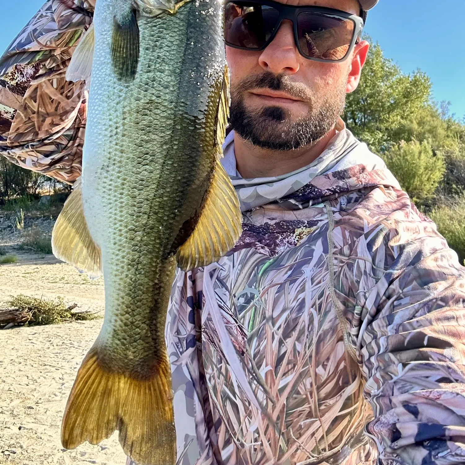 Largemouth bass caught on Fishbrain