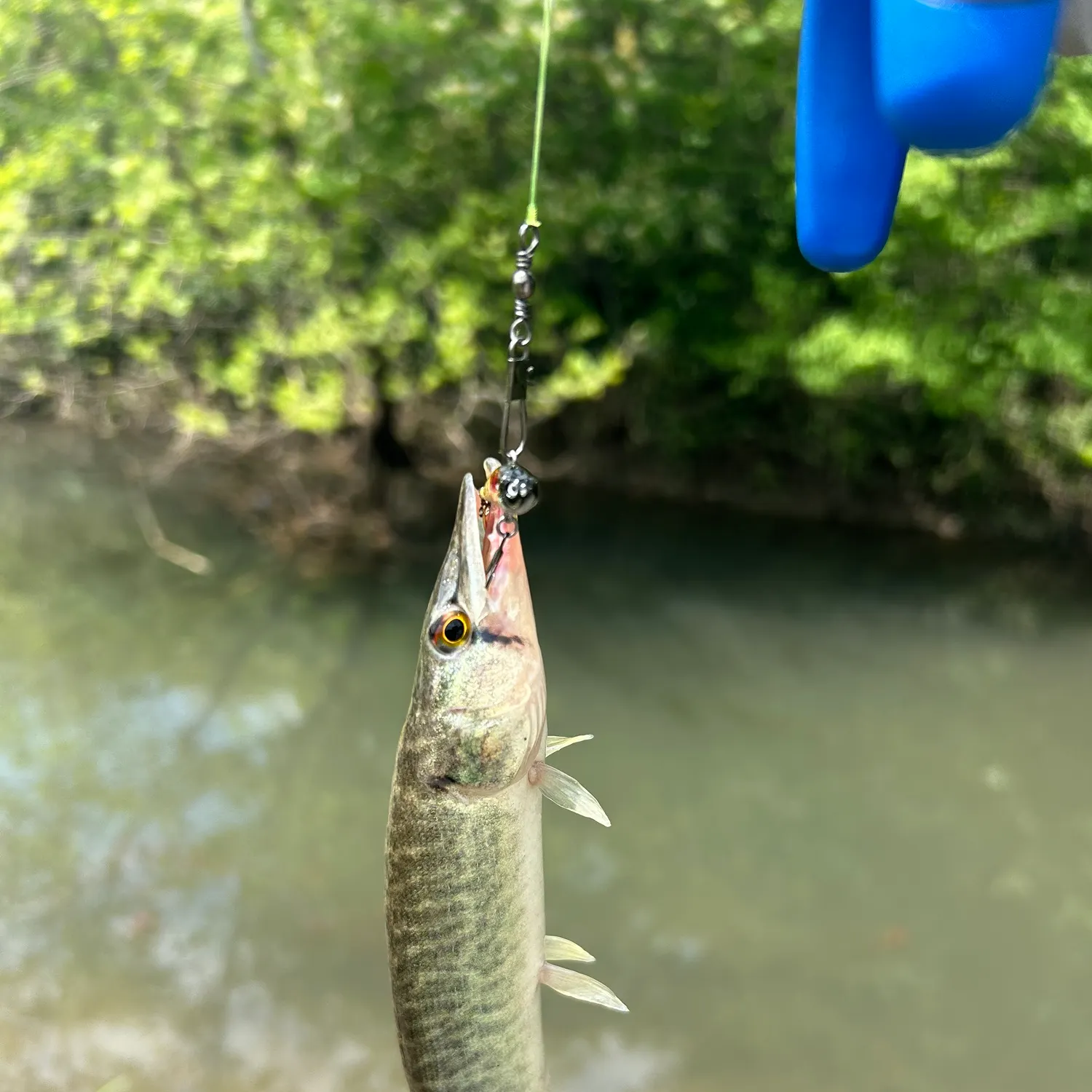 most liked catch image