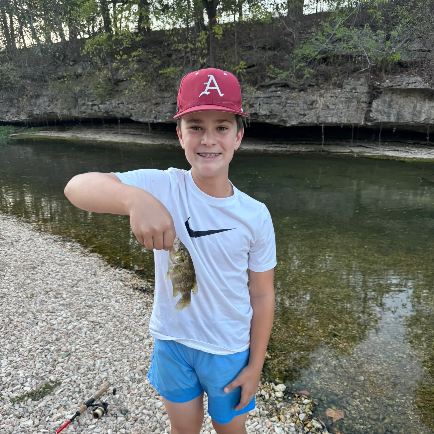 Rock bass caught on Fishbrain