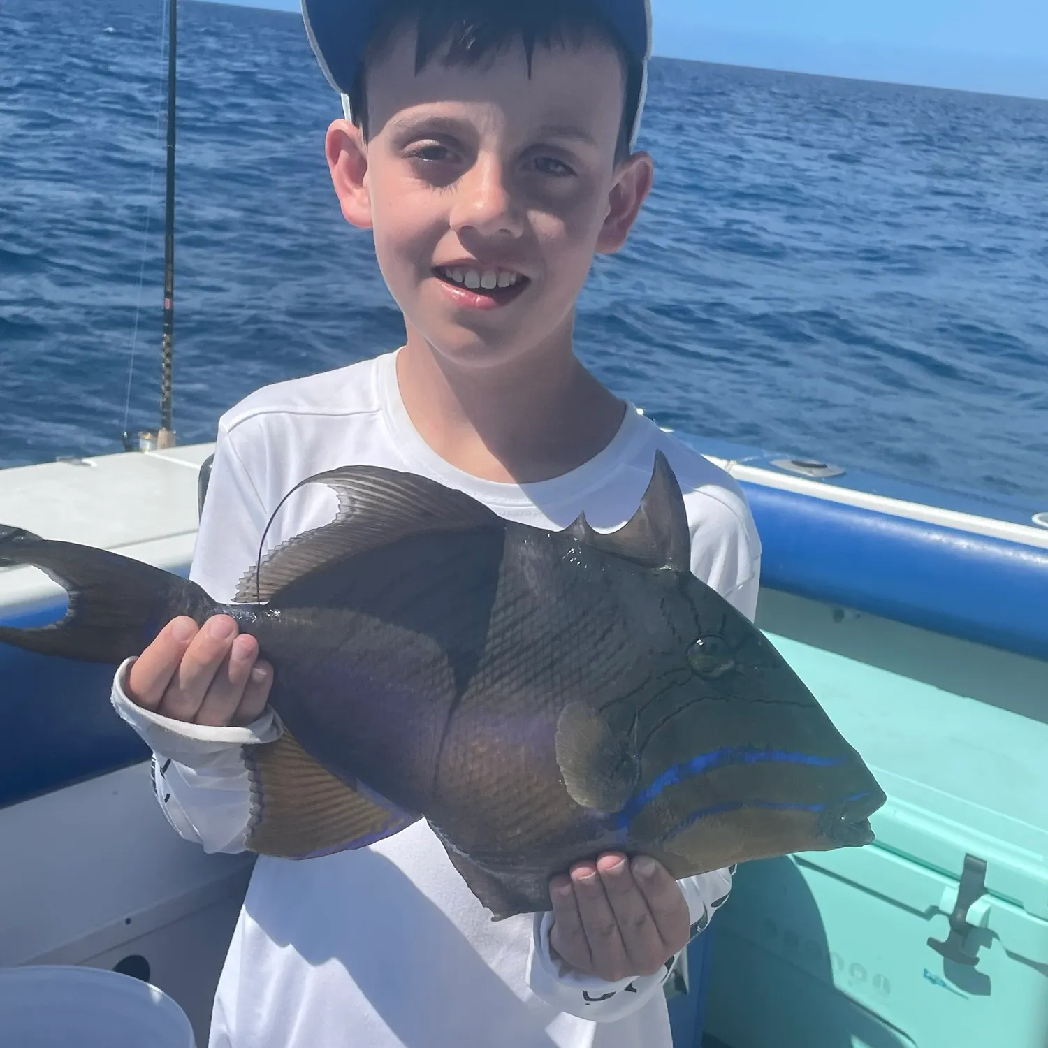 The most recent Grey triggerfish catches on Fishbrain