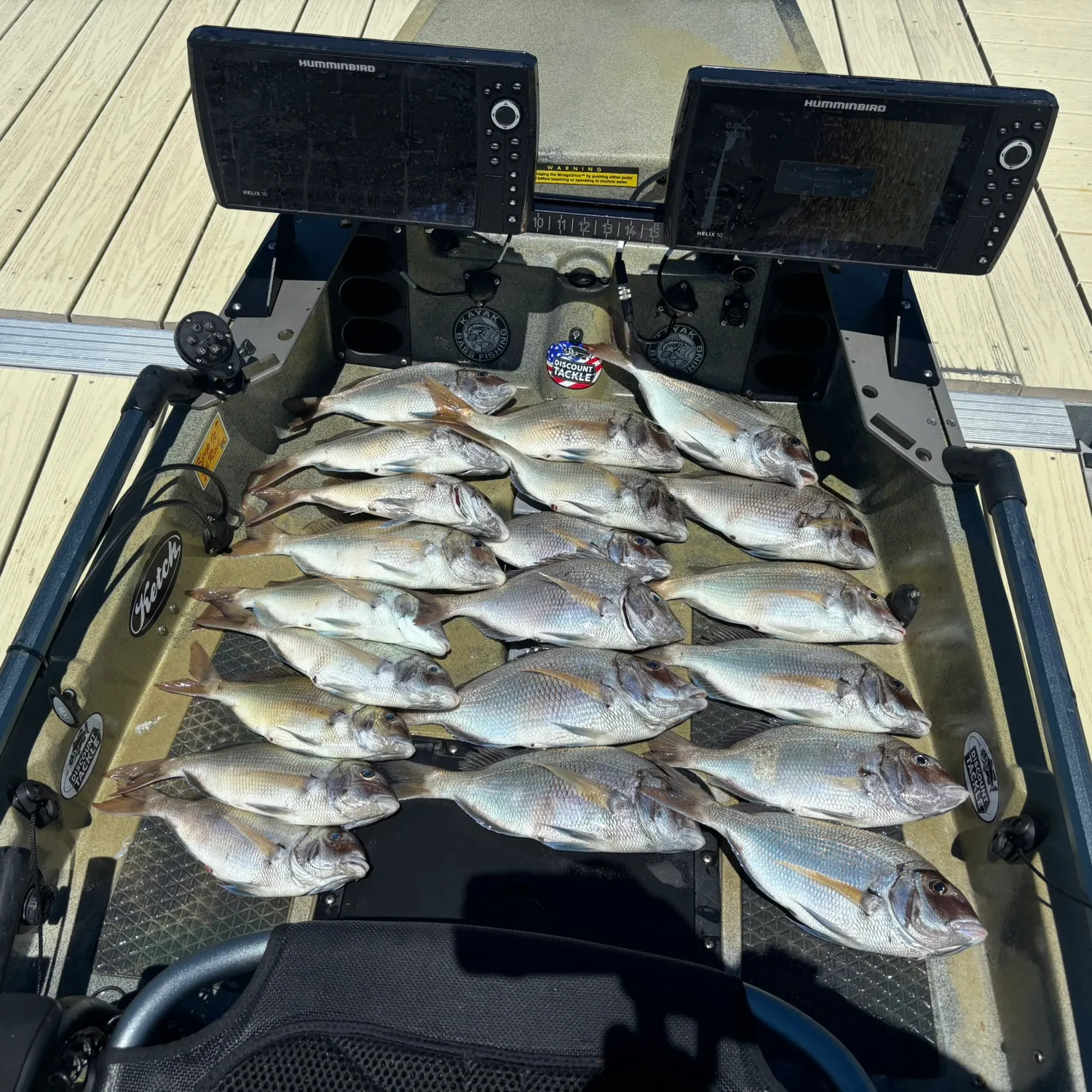 recently logged catches