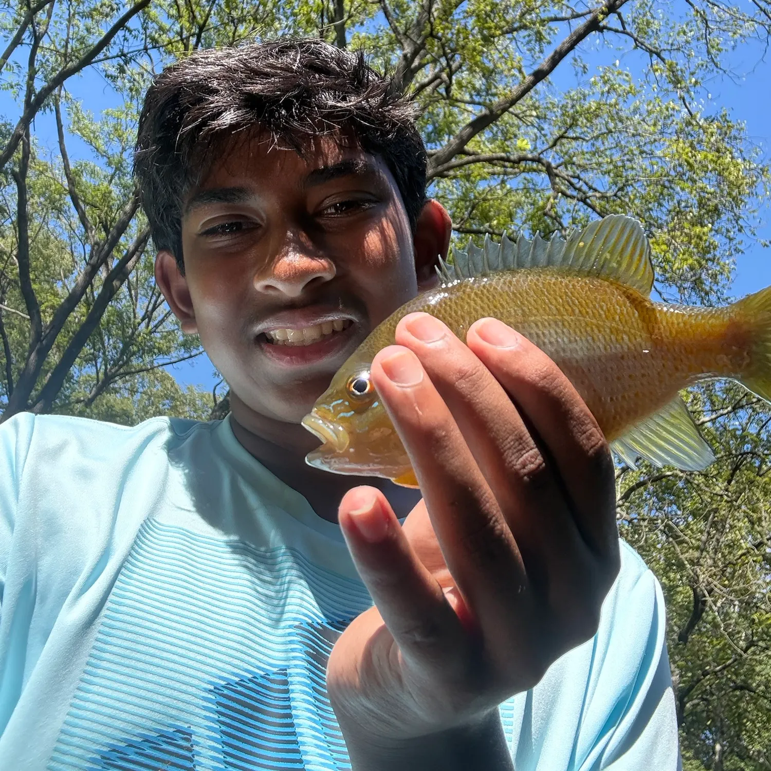 Redbreast sunfish caught on Fishbrain